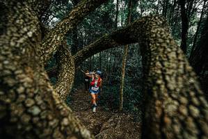 BIB: 
                            <button type="button" onclick="openModal(25675638)" class="btn btn-primary btn-sm float-right btn-popup" data-toggle="modal" data-target=".modal-high-quality">
                        <i class="fas fa-shopping-cart"></i> Add to Cart
                    </button>
                                            <button type="button" onclick="isThisMe(25675638, true)" class="btn btn-success btn-sm float-right btn-popup btn-isme hidden" data-toggle="tooltip" data-placement="bottom" title="นี่คือรูปของคุณใช่ไหม คลิกที่นี่เพื่อเอาเข้าอัลบั้ม">
                        <i class="fas fa-plus"></i> Add to album
                    </button>
                    <button type="button" onclick="isThisMe(25675638, false)" class="btn btn-warning btn-sm float-right btn-popup btn-isnotme hidden">
                        <i class="fas fa-ban"></i> Remove from album
                    </button>